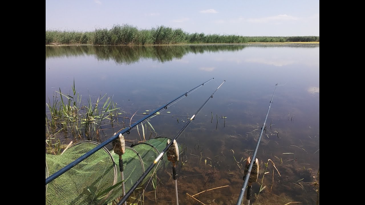 Pescuit la Vadeni in judetul Galati