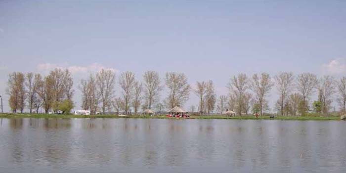 Balta Adea Arad