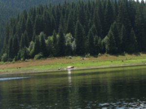 Lacul Belis