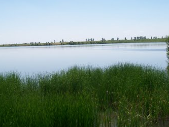 Balta Bunget Dambovita