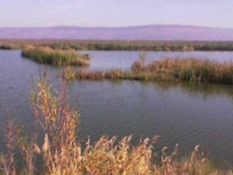 balta pescuit cleja bacau