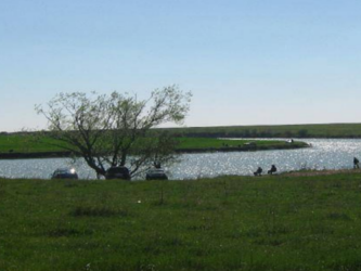 Bala cojesti calarasi