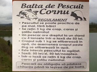 balta cornu 2016 trumb