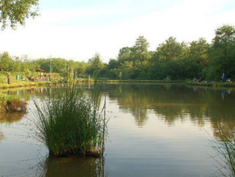 Balta Costin Maramures