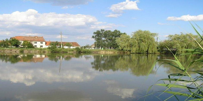 Balta Crimatex Arad