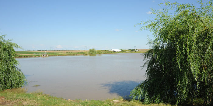 Balta Fitofagu Arges