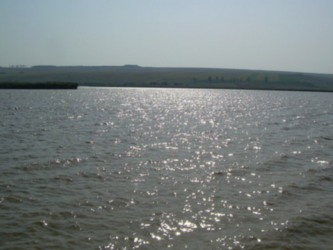 balta hanesti