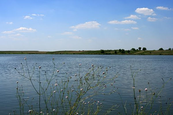 Balta Hobaia arges