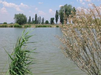 balta pescuit oltenitei
