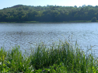 lacul stejeris