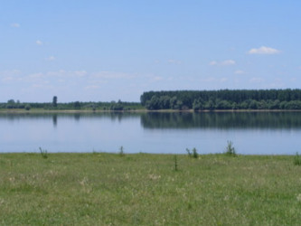balta golenti dolj