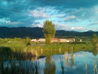 balta zabala