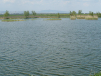 balta magula trumb