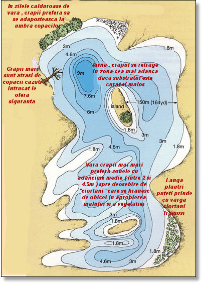 Comportamentul crapului in lac