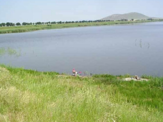 Balta Tauc Tulcea